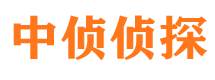 紫云市侦探调查公司